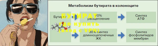 стаф Аркадак